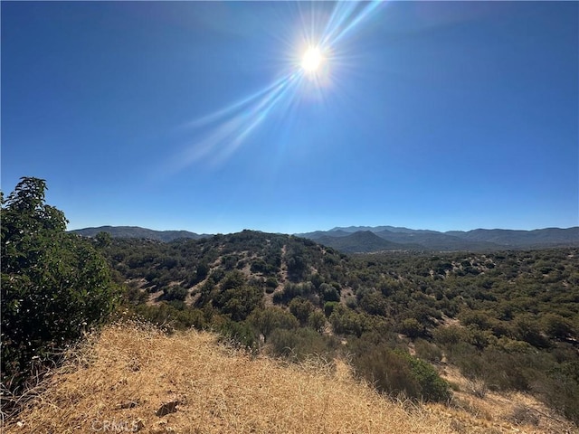 33 Broken Wheel, Anza, CA 92539
