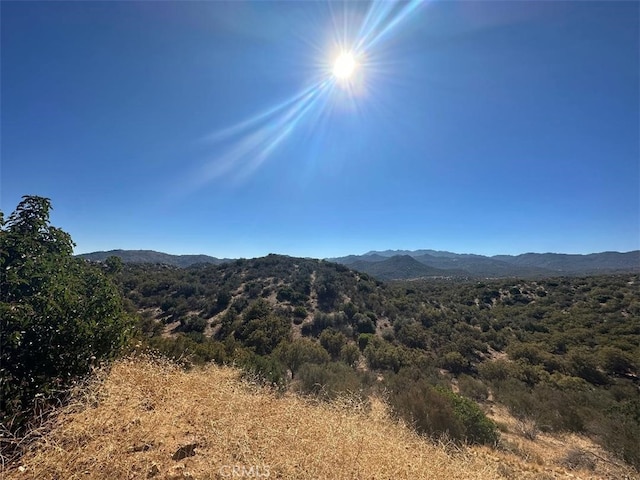 33 Broken Wheel, Anza, CA 92539