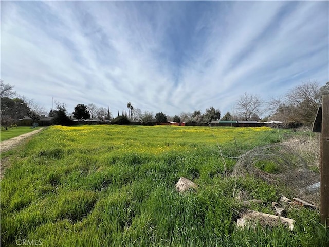 view of yard featuring a rural view