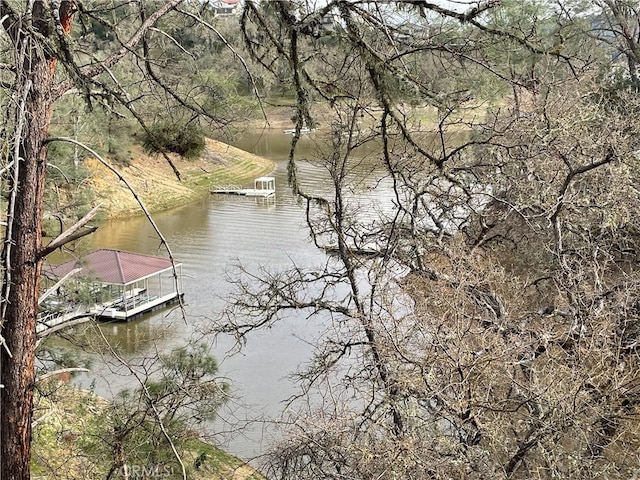 water view featuring a floating dock