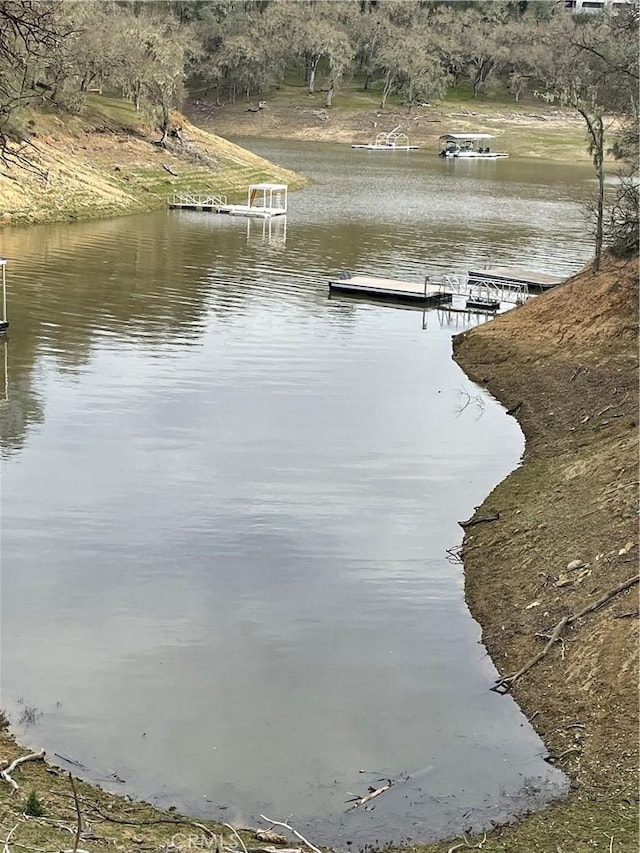 dock area with a water view