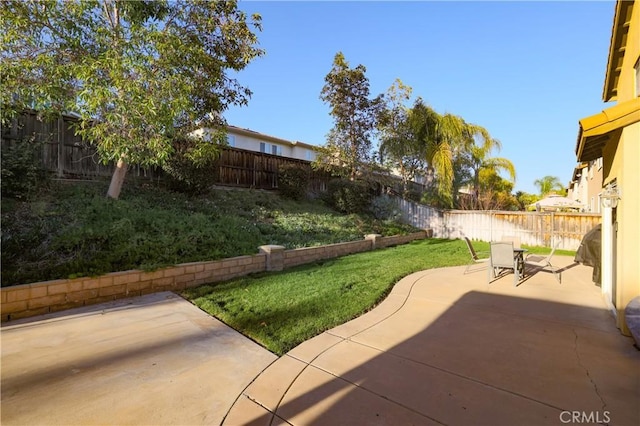 view of yard featuring a fenced backyard and a patio