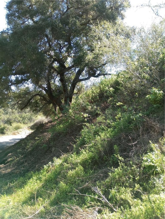 Listing photo 3 for 0 Old Chimney Rd, Malibu CA 90265