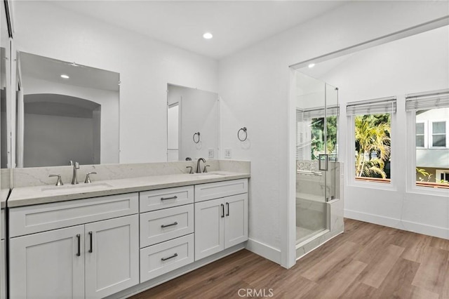 bathroom featuring double vanity, wood finished floors, a sink, and a shower stall