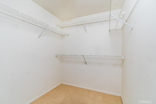 spacious closet with light carpet