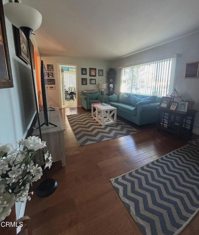 living area with wood finished floors