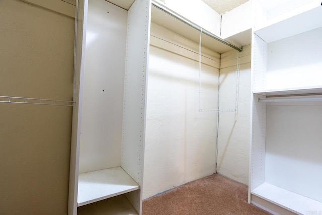 spacious closet featuring carpet floors