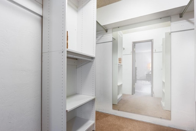 walk in closet with carpet