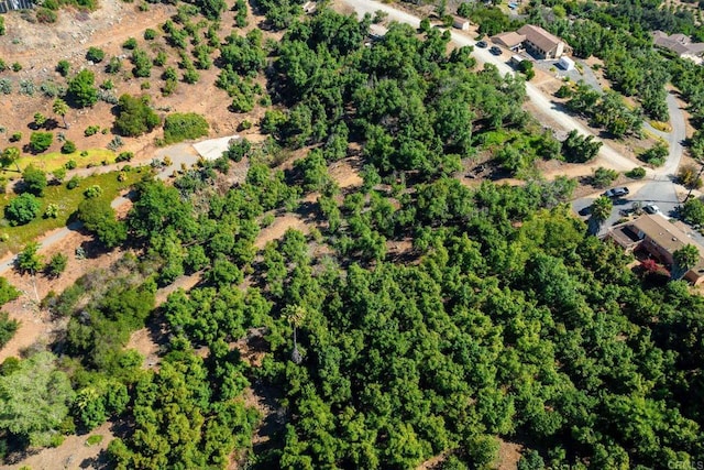 0 Wilt Rd, Fallbrook, CA 92028 - photo 29