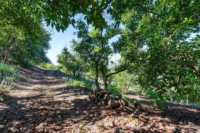 0 Wilt Rd, Fallbrook, CA 92028 - photo 15