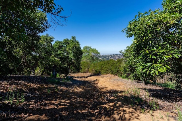 0 Wilt Rd, Fallbrook, CA 92028 - photo 6