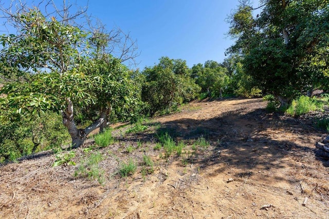 0 Wilt Rd, Fallbrook, CA 92028 - photo 7