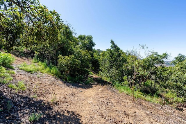 0 Wilt Rd, Fallbrook, CA 92028 - photo 17