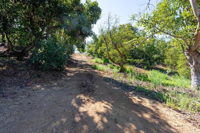 0 Wilt Rd, Fallbrook, CA 92028 - photo 12