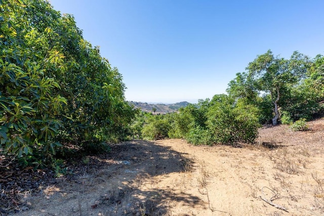 0 Wilt Rd, Fallbrook, CA 92028 - photo 18