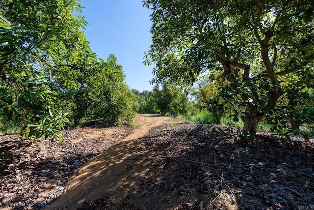 0 Wilt Rd, Fallbrook, CA 92028 - photo 5