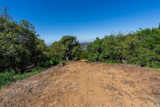 0 Wilt Rd, Fallbrook, CA 92028 - photo 8