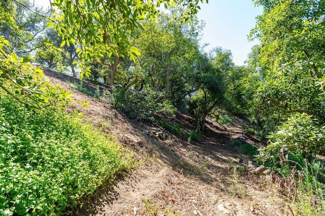 0 Wilt Rd, Fallbrook, CA 92028 - photo 16