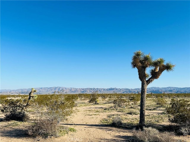 1974 Sunset Rd, Joshua Tree CA, 92252 land for sale