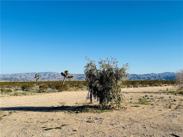 Listing photo 2 for 1974 Sunset Rd, Joshua Tree CA 92252