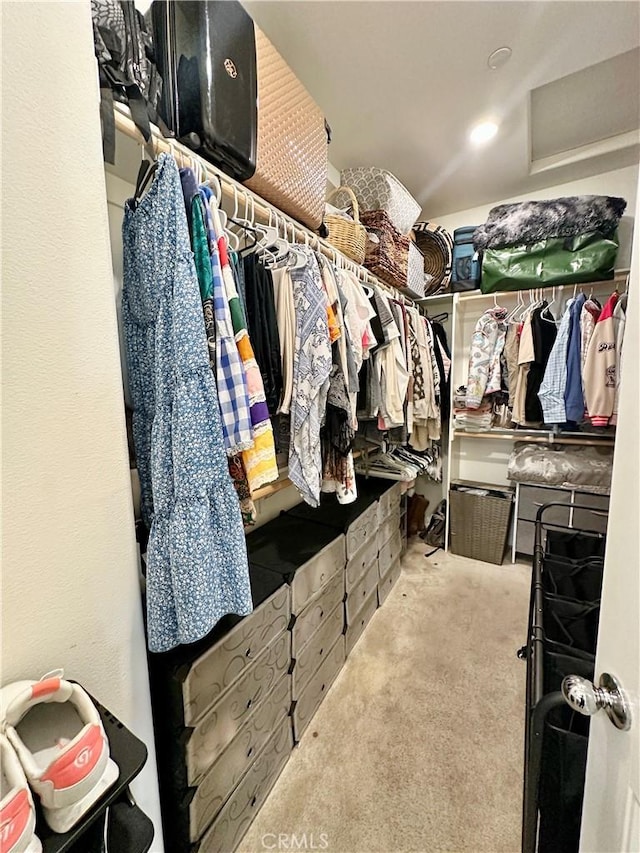 spacious closet with carpet