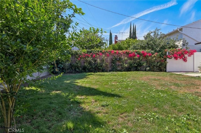 view of yard featuring a fenced backyard