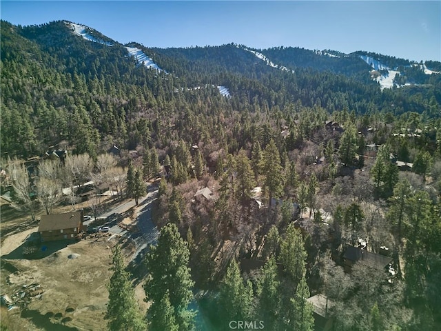 property view of mountains featuring a wooded view