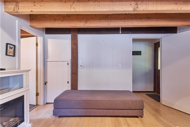 interior space featuring light wood finished floors and a glass covered fireplace