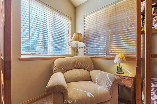 living area with carpet floors and baseboards