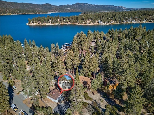 birds eye view of property featuring a water and mountain view and a wooded view