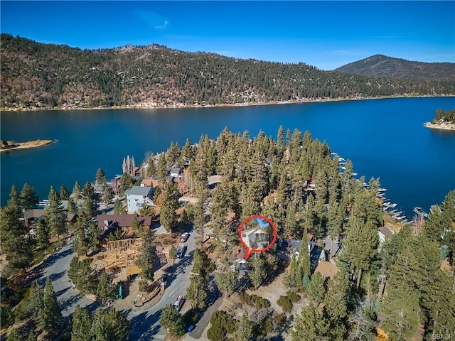 bird's eye view with a view of trees and a water and mountain view