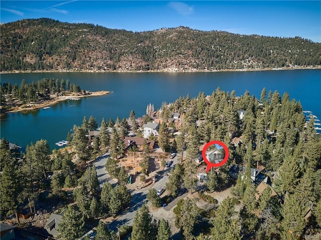 birds eye view of property featuring a water view and a forest view