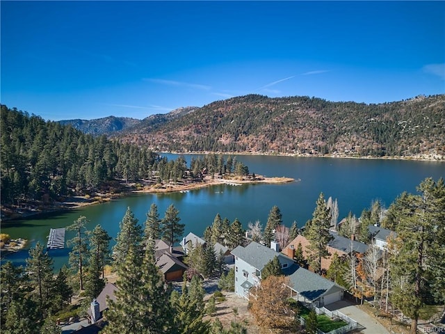 drone / aerial view featuring a view of trees and a water and mountain view