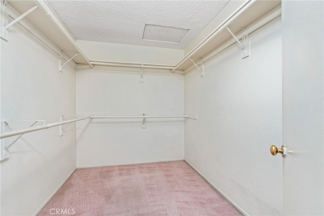 spacious closet featuring light carpet