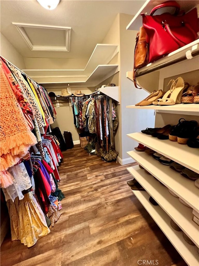 spacious closet featuring wood finished floors and attic access