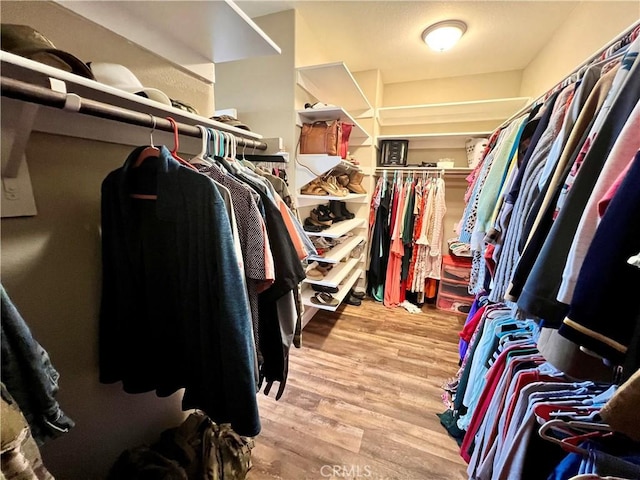 spacious closet featuring wood finished floors