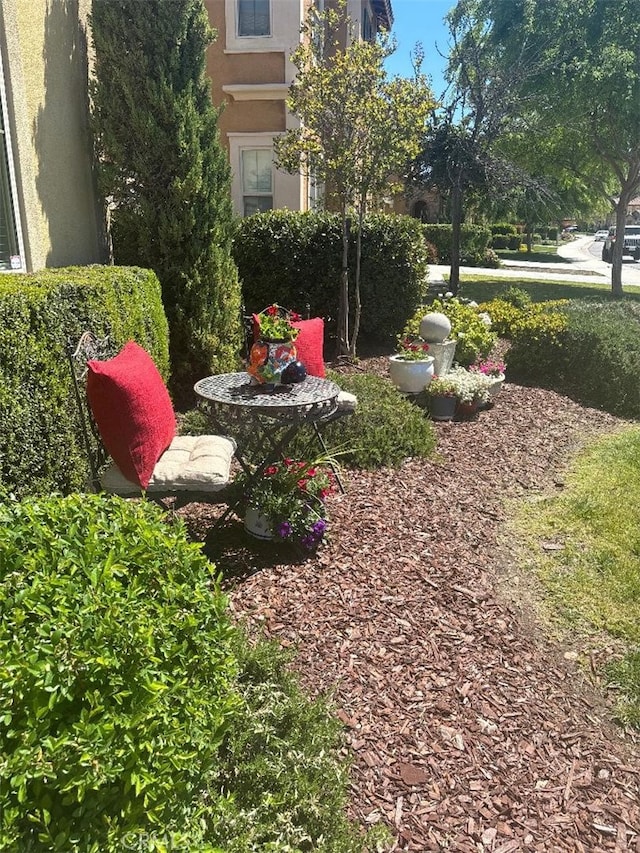 32526 Presidio Hills Ln, Winchester, CA 92596 - view of yard