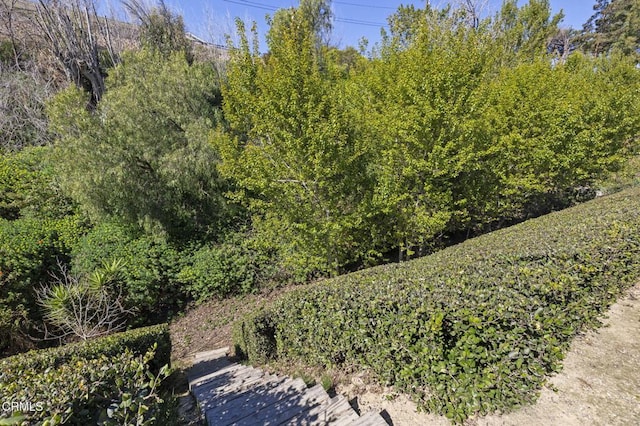 1037 Westridge Dr, Ventura, CA 93003 - exterior space