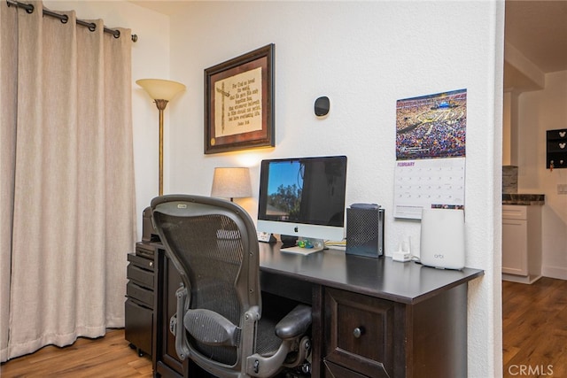 office featuring wood finished floors