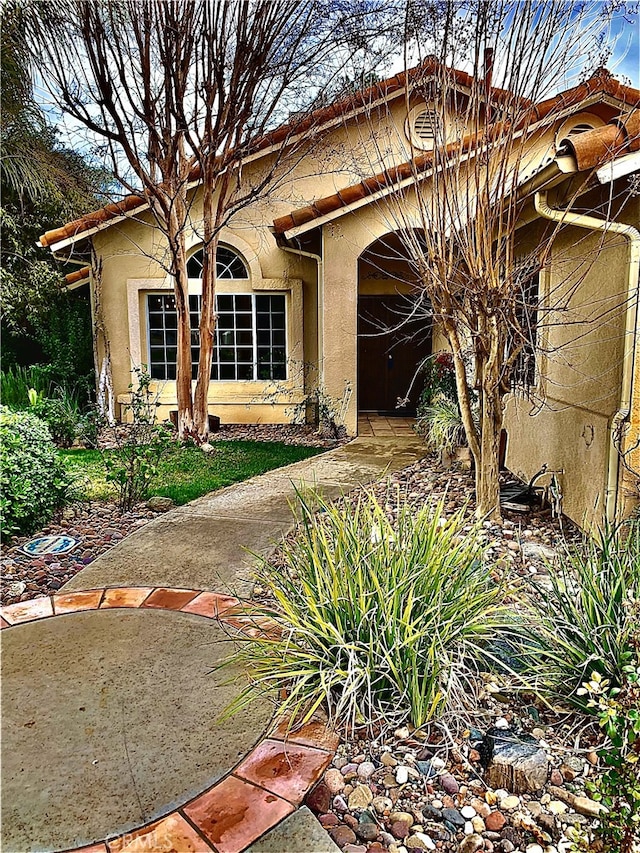 doorway to property featuring stucco siding