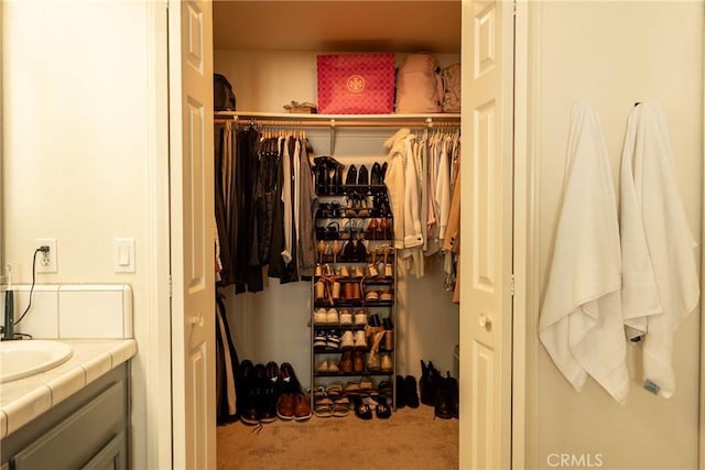 closet with a sink