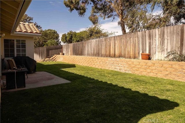 view of yard with a patio area and a fenced backyard