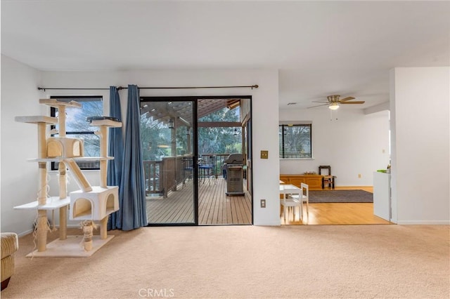 entryway featuring ceiling fan, carpet, and baseboards