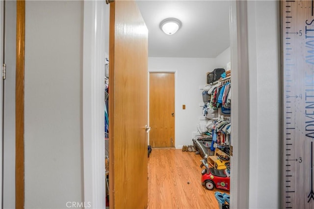 walk in closet featuring wood finished floors