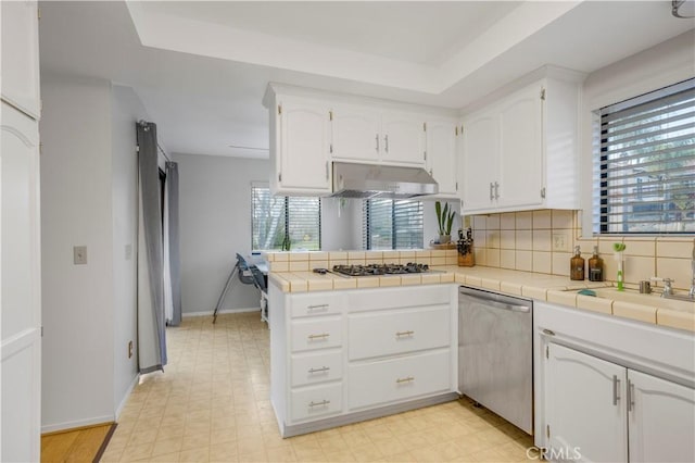 kitchen with stainless steel appliances, backsplash, white cabinetry, a peninsula, and under cabinet range hood