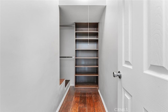 spacious closet featuring dark wood-type flooring