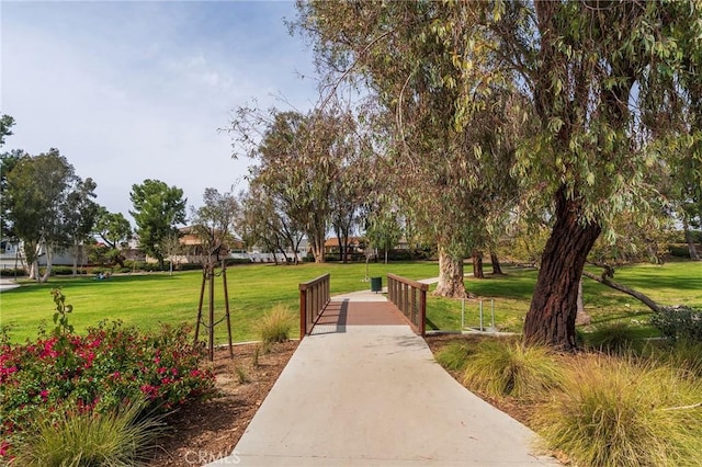 view of community with a yard