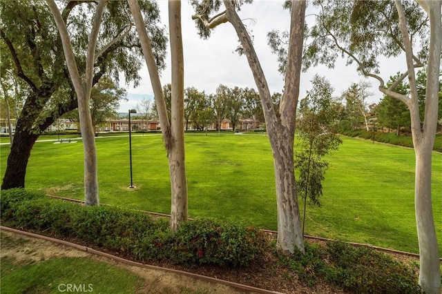 view of home's community with a yard