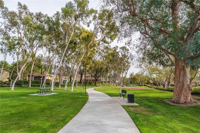 view of property's community with a lawn