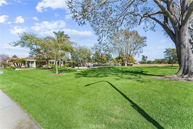 view of home's community with a lawn